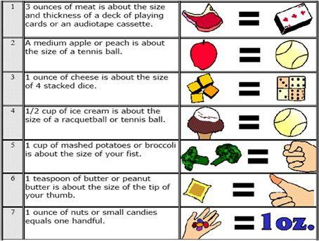Portion Size Chart For Adults